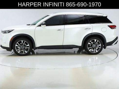 Used 2023 INFINITI QX60 Luxe w/ Cargo Package image 44