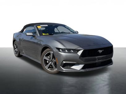 Used 2025 Ford Mustang Premium
