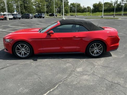 Used 2017 Ford Mustang Premium RWD image 13