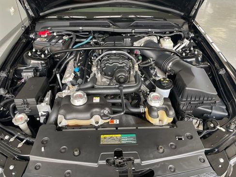 Used 2008 Ford Mustang Shelby GT500 image 6