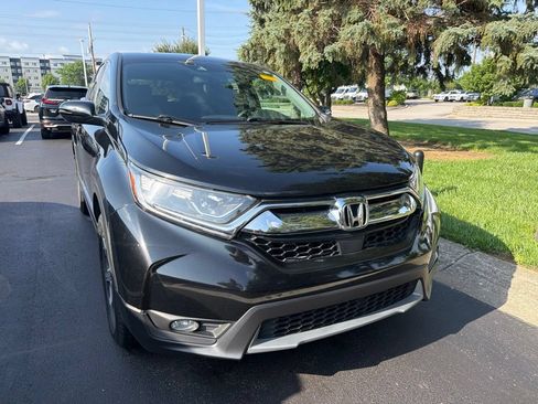 Used 2019 Honda CR-V EX-L image 5