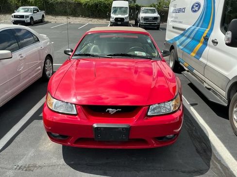 Used 1999 Ford Mustang Cobra RWD image 2