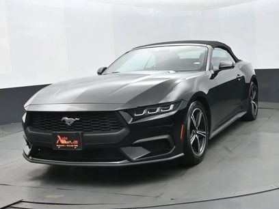 Used 2024 Ford Mustang Premium