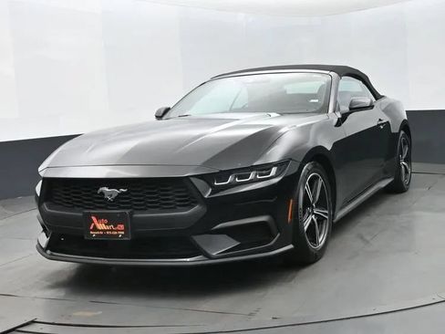 Used 2024 Ford Mustang Premium RWD image 1