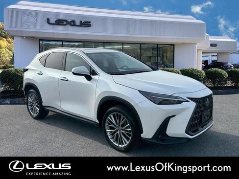 Used 2023 Lexus NX 350h AWD image 8