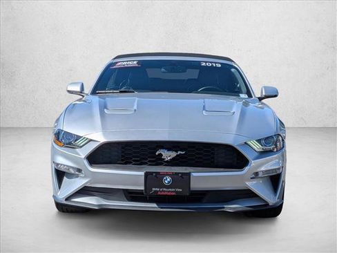 Used 2019 Ford Mustang Premium RWD image 2