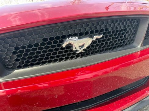 Used 2015 Ford Mustang GT Premium w/ Equipment Group 401A RWD image 8