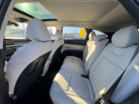 New 2026 Hyundai Tucson Limited AWD/4WD image 14