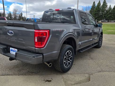 Used 2023 Ford F150 XLT w/ Equipment Group 302A High AWD/4WD image 6