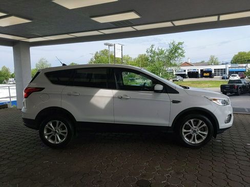 Used 2019 Ford Escape SE AWD/4WD image 5