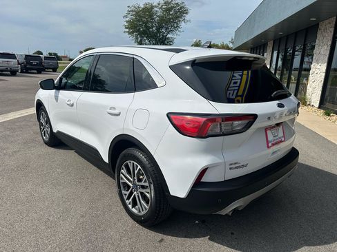 Used 2022 Ford Escape SEL FWD image 5