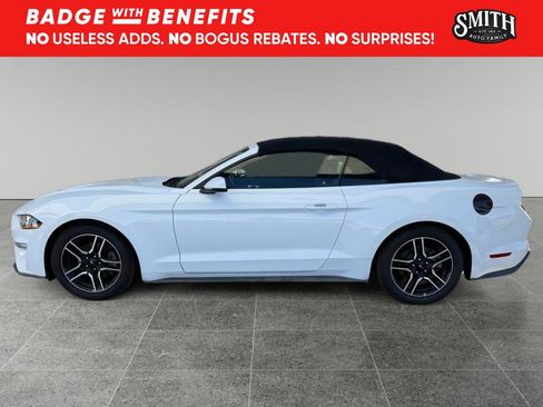 Used 2019 Ford Mustang Premium image 5