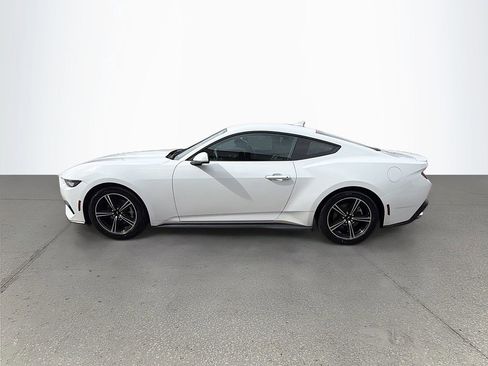 Used 2024 Ford Mustang Premium image 8