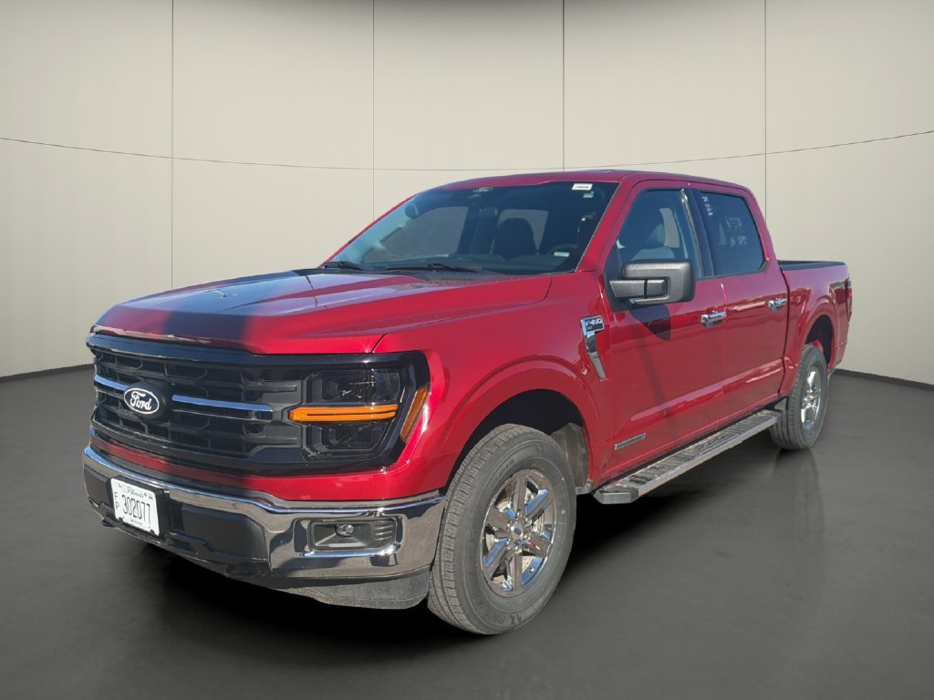 Used 2025 Ford F150 XLT w/ Equipment Group 301A Standard AWD/4WD image 3