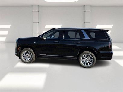 New 2026 Cadillac Escalade Luxury