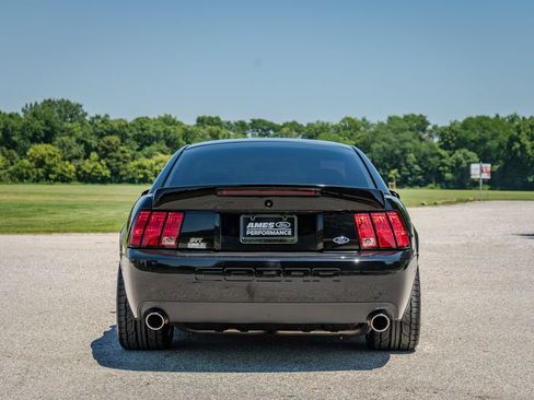 Used 2003 Ford Mustang Cobra RWD image 5