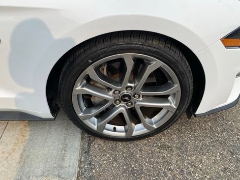 Used 2019 Ford Mustang GT Premium w/ Equipment Group 401A RWD image 14