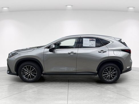 Used 2025 Lexus NX 350h AWD w/ Cold Area Package image 7