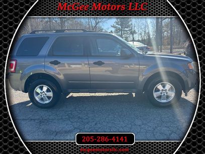 Used 2010 Ford Escape XLT