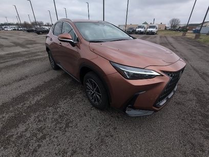 Used 2025 Lexus NX 350 AWD