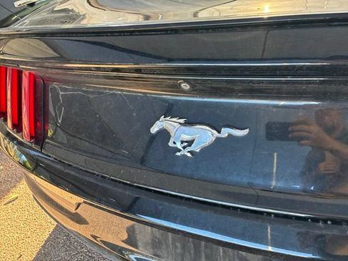 Used 2017 Ford Mustang Premium RWD image 5