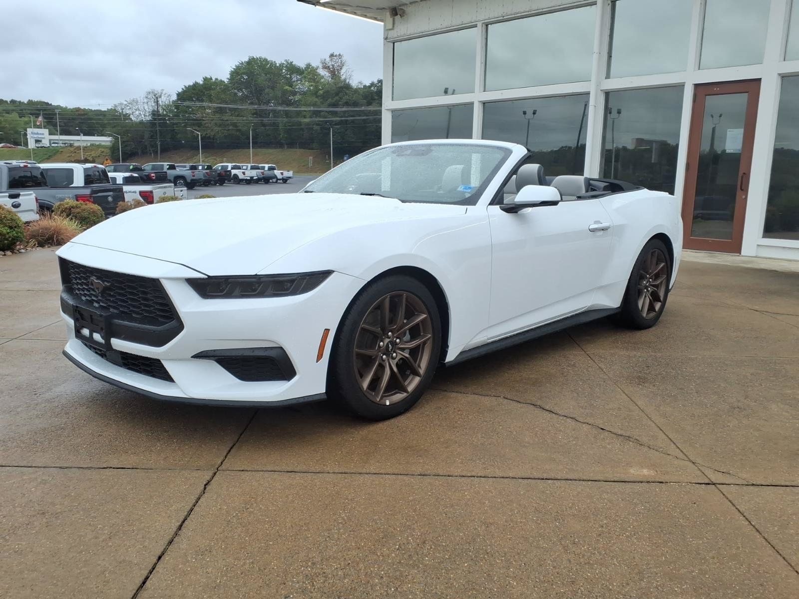 Used 2025 Ford Mustang Premium RWD image 4