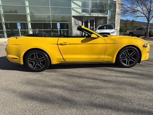 Used 2018 Ford Mustang Premium w/ Equipment Group 201A image 8