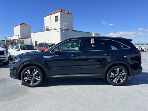 Certified 2024 Kia Sorento SX Prestige image 3
