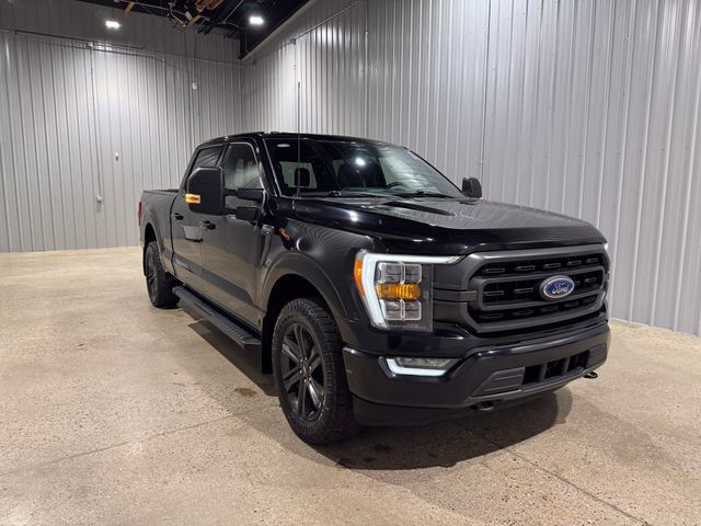 Used 2023 Ford F150 XLT w/ Equipment Group 302A High AWD/4WD image 4