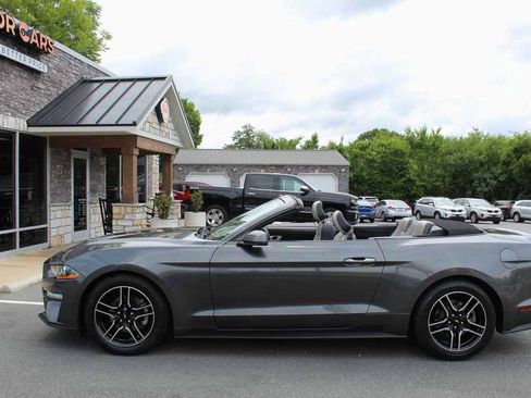 Used 2018 Ford Mustang Premium RWD image 11