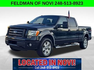 Used 2010 Ford F150 FX4 image 1