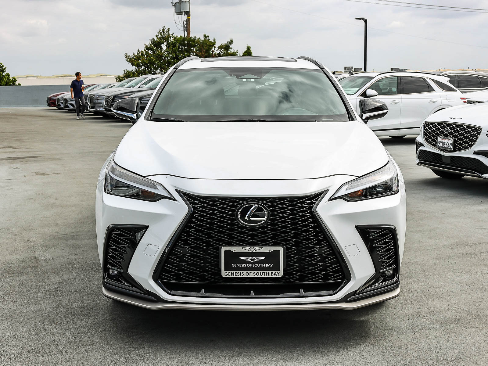 Used 2024 Lexus NX 350 F Sport AWD/4WD image 2