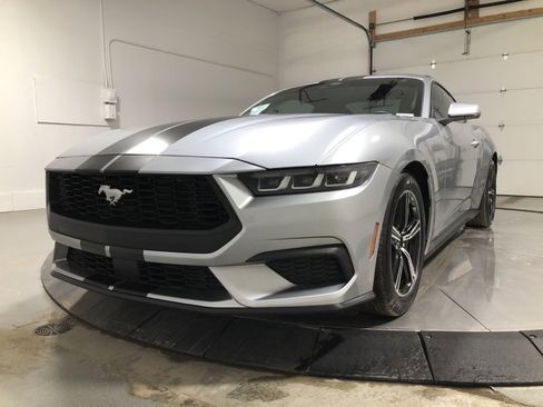 Used 2024 Ford Mustang Coupe image 3