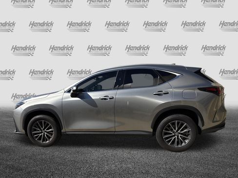 Used 2025 Lexus NX 250 FWD w/ Cold Area Package image 7