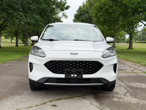 Used 2020 Ford Escape SE AWD/4WD image 2