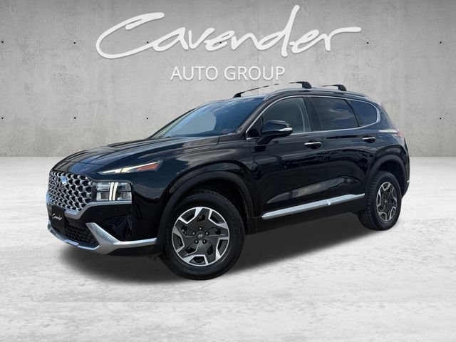 Used 2023 Hyundai Santa Fe Blue AWD/4WD image 1