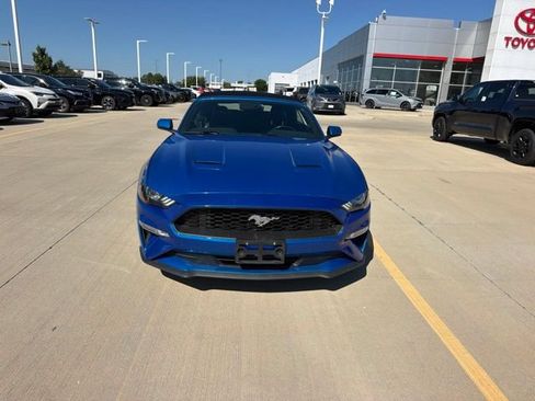 Used 2019 Ford Mustang Premium w/ Equipment Group 201A RWD image 2