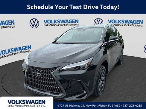 Used 2025 Lexus NX 250 FWD w/ Accessory Package (Z1) image 1