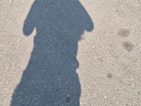 Used 2016 Toyota Avalon XLE Premium FWD image 3