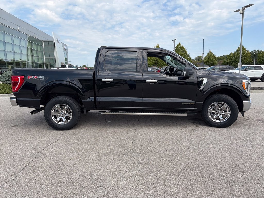 Used 2023 Ford F150 XLT w/ Equipment Group 302A High AWD/4WD image 8
