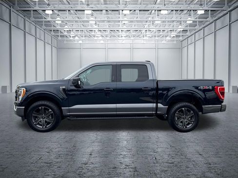 Used 2023 Ford F150 XLT w/ Equipment Group 302A High AWD/4WD image 4
