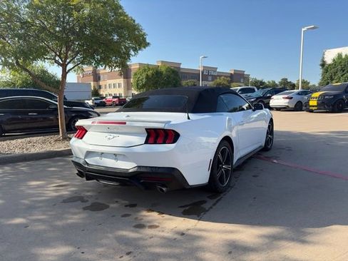 Used 2024 Ford Mustang Premium RWD image 5
