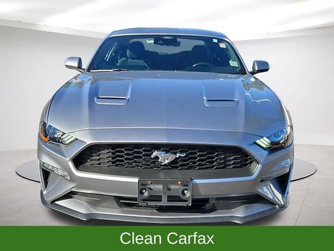 Used 2022 Ford Mustang Coupe w/ Equipment Group 101A image 2