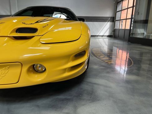 Used 2002 Pontiac Firebird Trans Am image 4