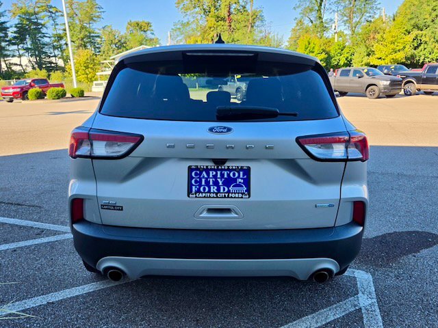 Used 2020 Ford Escape SE AWD/4WD image 5