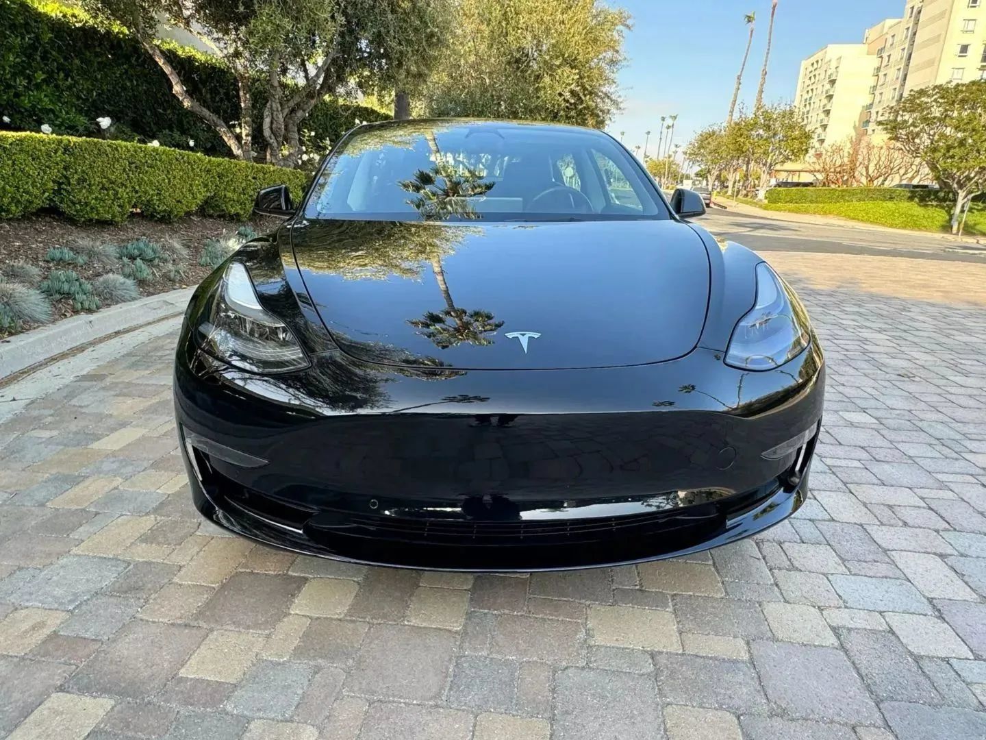 Used 2023 Tesla Model 3 Standard Range RWD image 5