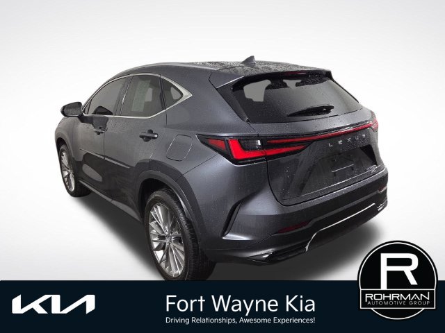 Used 2025 Lexus NX 350h AWD w/ Cold Area Package image 10