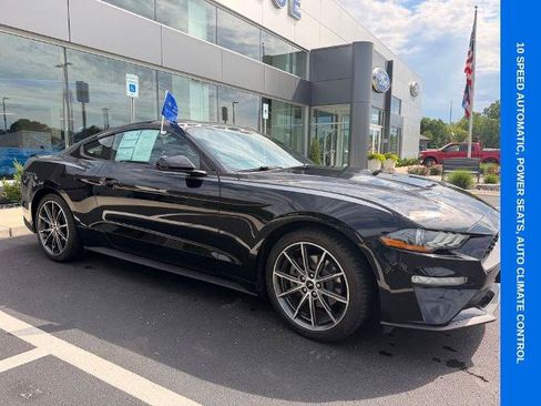 Certified 2019 Ford Mustang Coupe w/ Equipment Group 101A RWD image 3