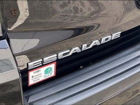 Used 2019 Cadillac Escalade Luxury image 8