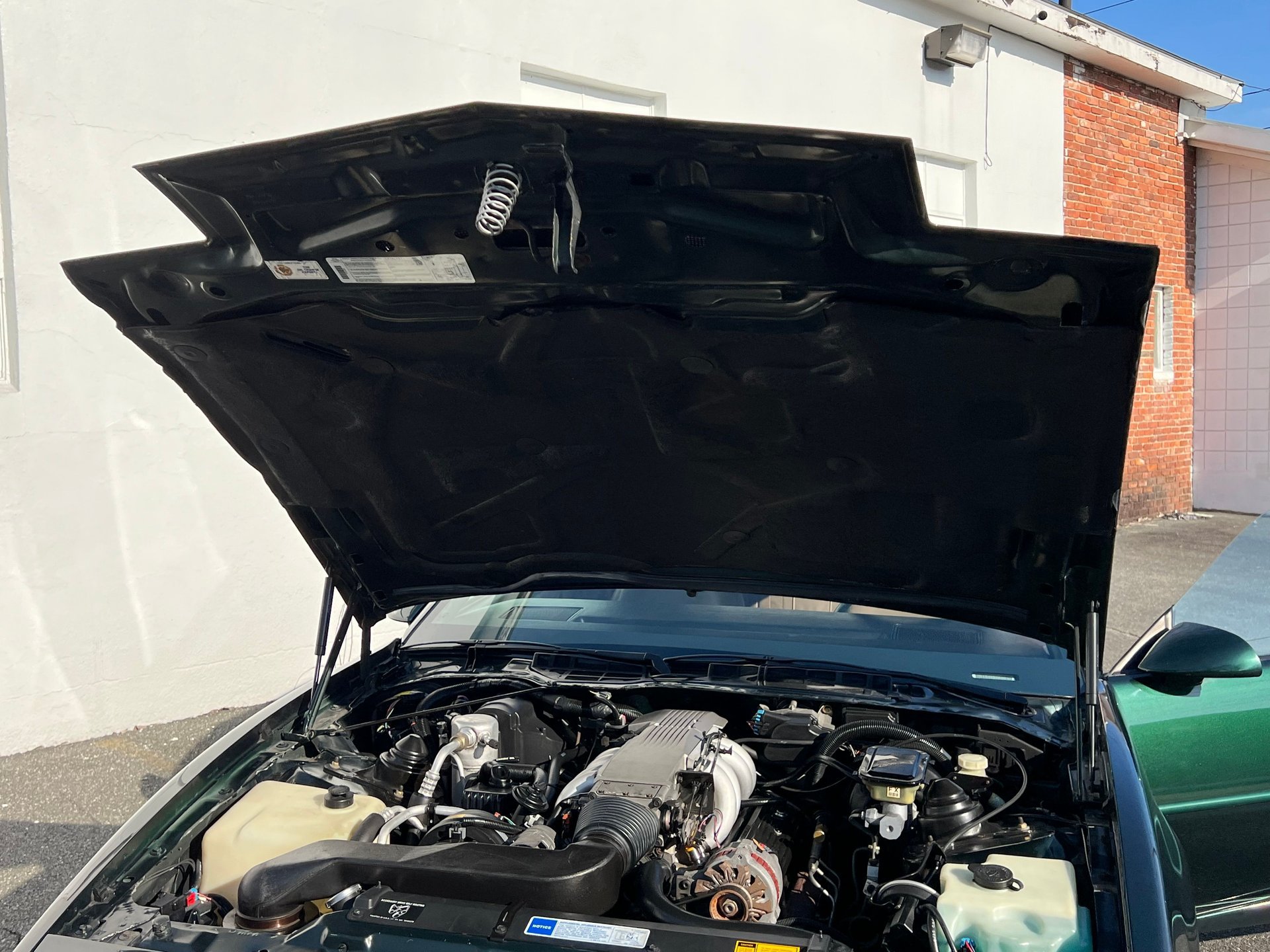 Used 1992 Pontiac Firebird Trans Am RWD image 18